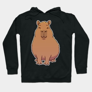 Cute Happy Capybara Hoodie